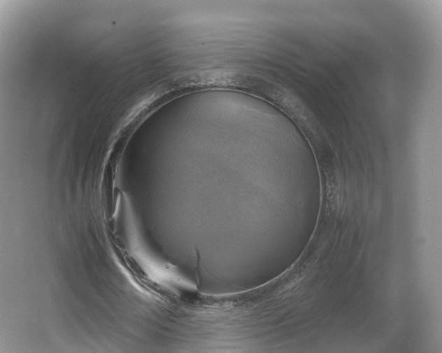 X0000067890674200604171338