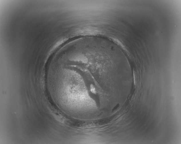 X0000067890675200604171338