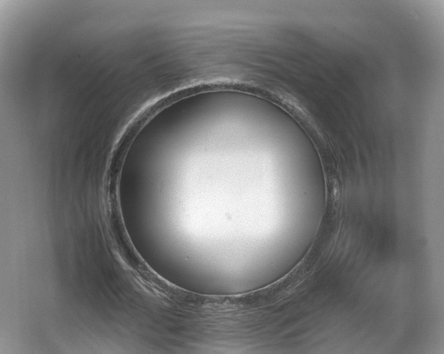 X0000067890676200604171338