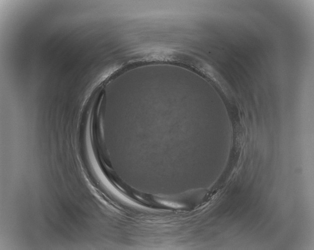 X0000067890677200604171338