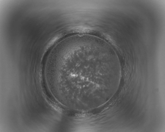 X0000067890679200604171338