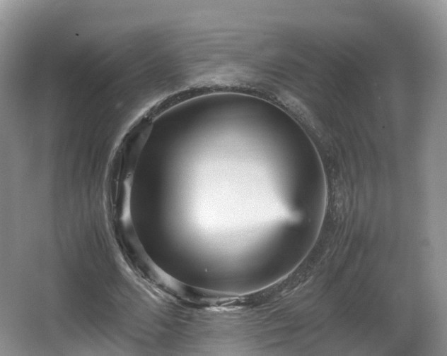 X0000067890680200604171338