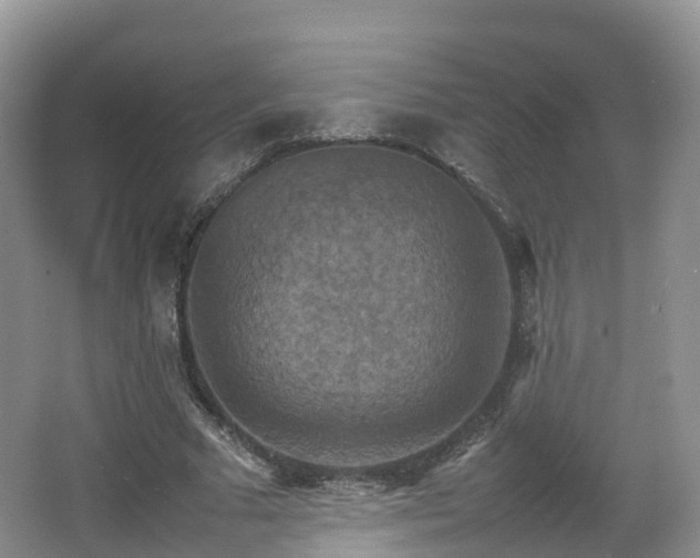 X0000067890681200604171338