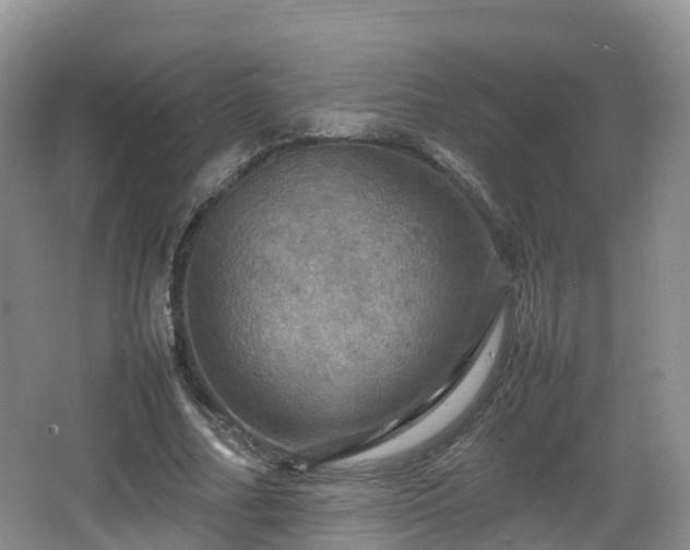 X0000067890682200604171338