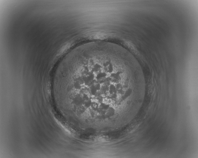 X0000067890683200604171338