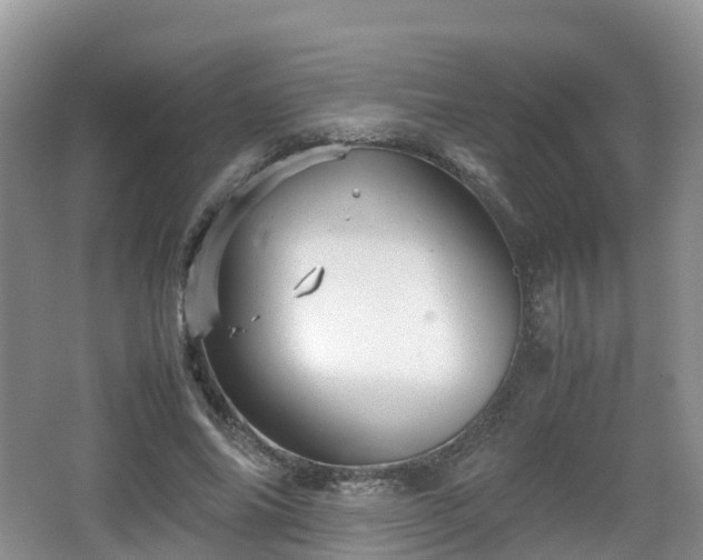 X0000067890686200604171337