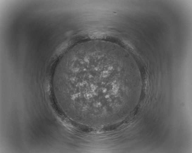 X0000067890687200604171337