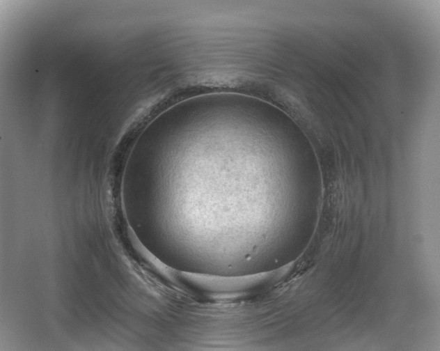 X0000067890688200604171337