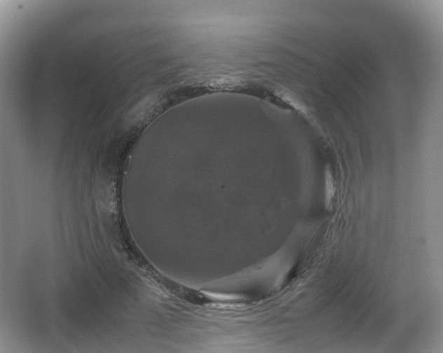 X0000067890689200604171337