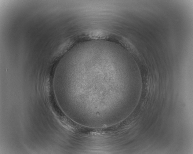 X0000067890690200604171337