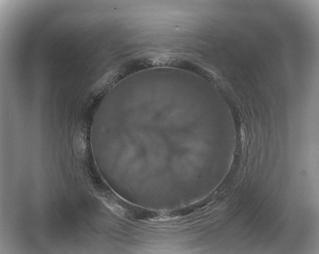 X0000067890691200604171337