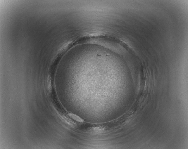 X0000067890692200604171337