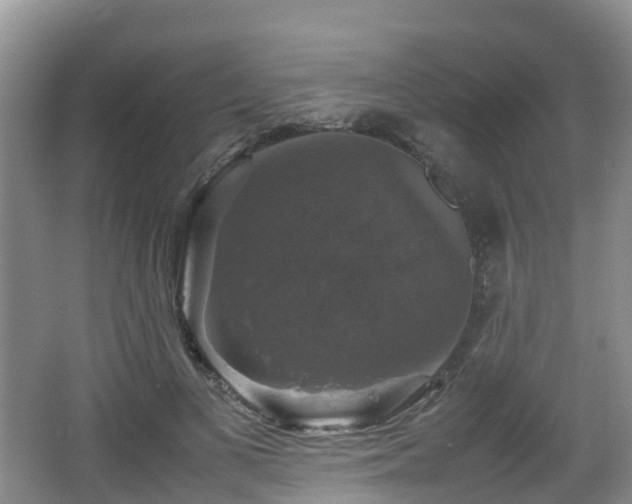 X0000067890693200604171337