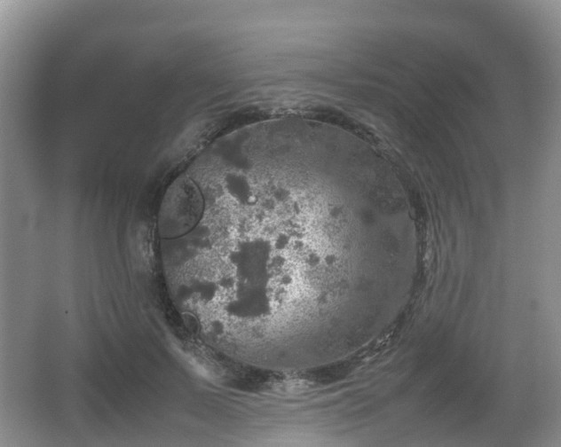 X0000067890695200604171337