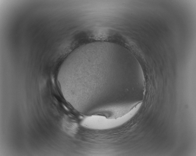 X0000067890697200604171337