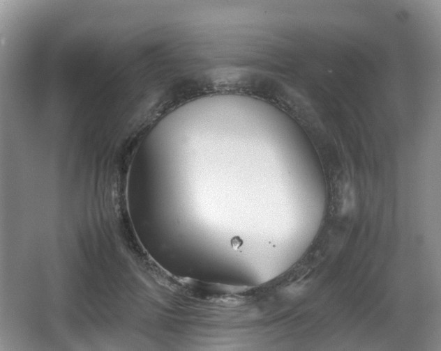 X0000067890698200604171337