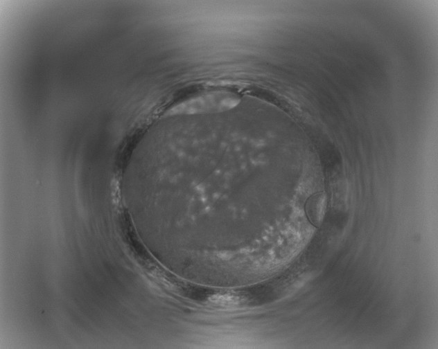 X0000067890699200604171337