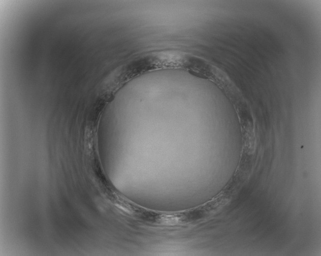 X0000067890701200604171337