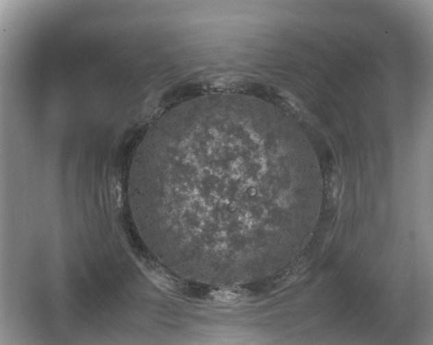 X0000067890703200604171337