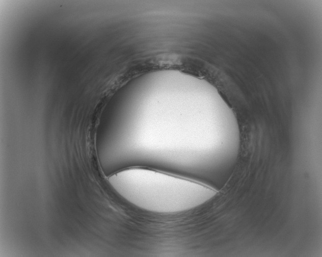 X0000067890704200604171337