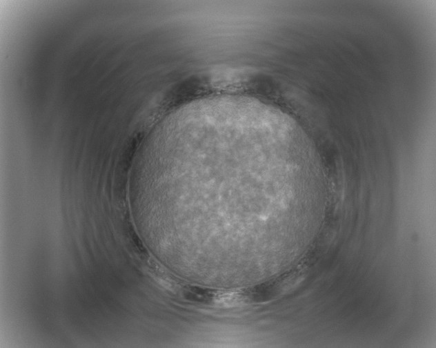 X0000067890705200604171337