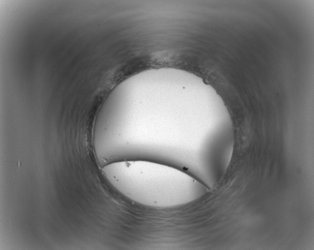 X0000067890706200604171337