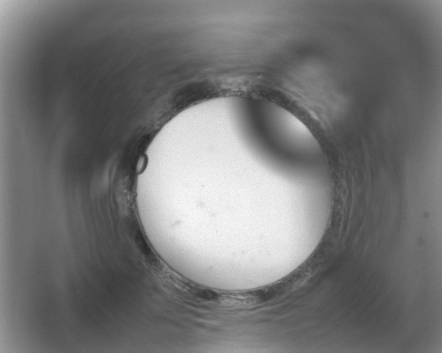 X0000067890707200604171337