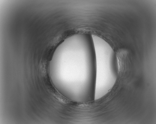 X0000067890708200604171337