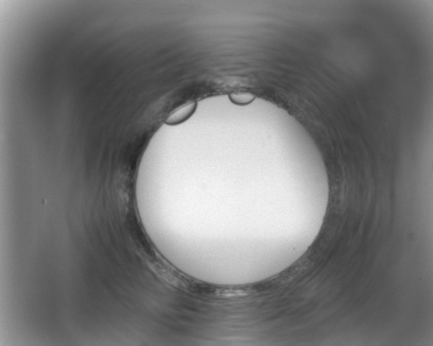 X0000067890710200604171337