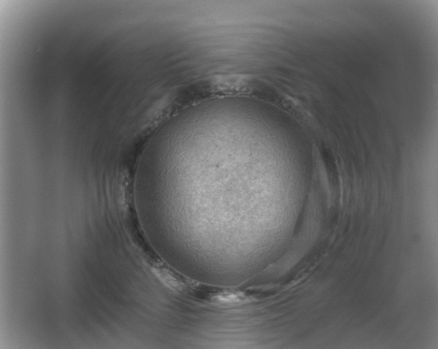 X0000067890712200604171337