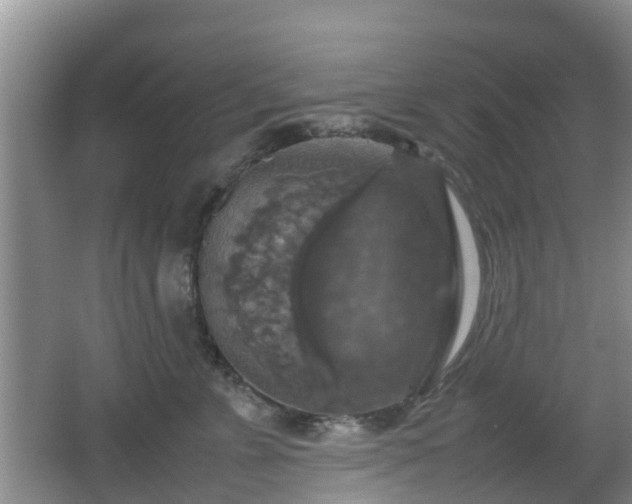 X0000067890715200604171337