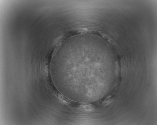 X0000067890716200604171337