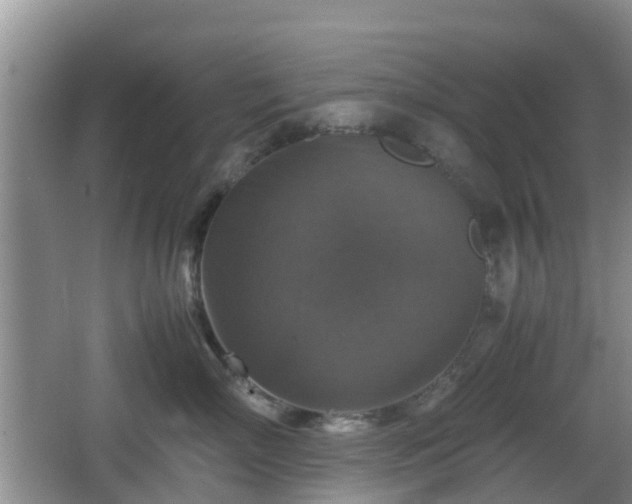 X0000067890718200604171337