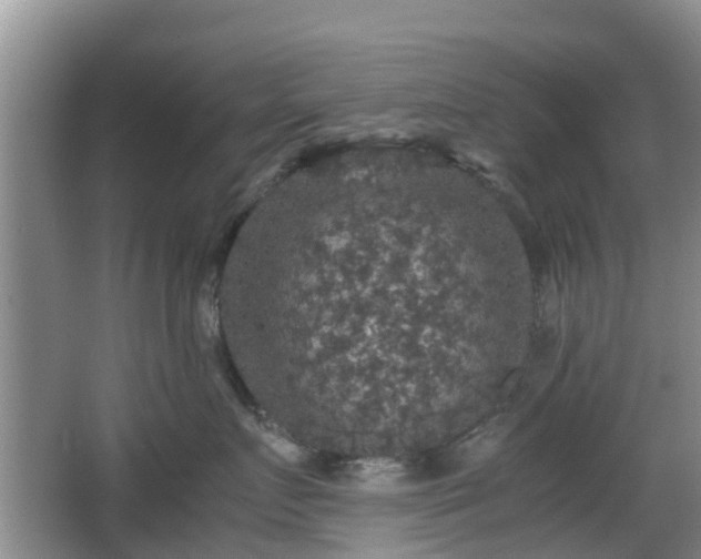 X0000067890719200604171337