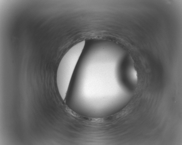 X0000067890720200604171337