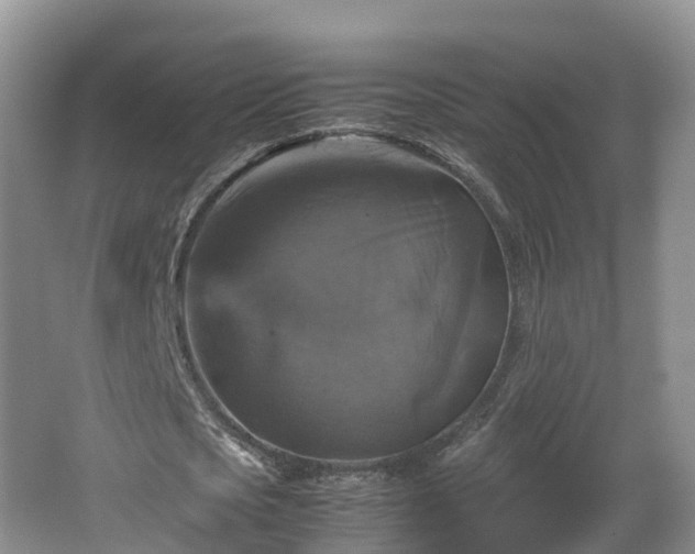 X0000067890721200604171336