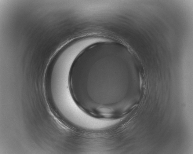 X0000067890722200604171336