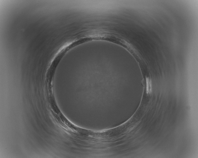 X0000067890723200604171336