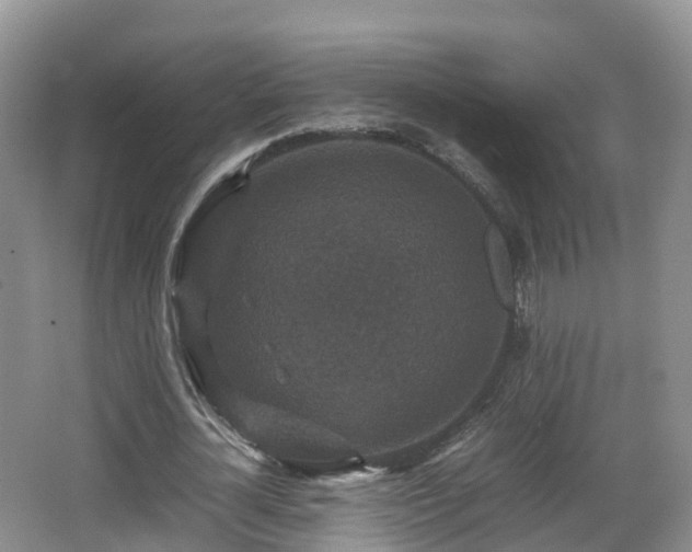 X0000067890724200604171336