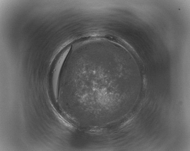 X0000067890725200604171336