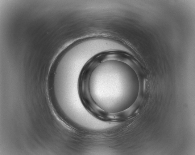 X0000067890726200604171336