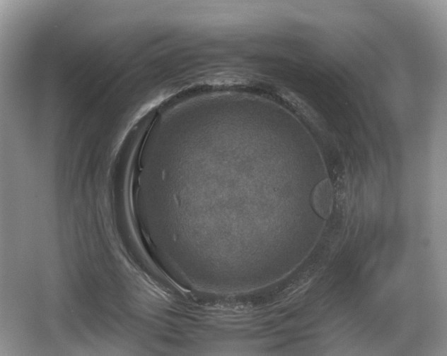 X0000067890727200604171336