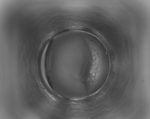 X0000067890729200604171336