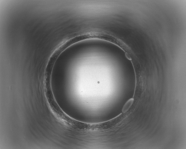 X0000067890730200604171336