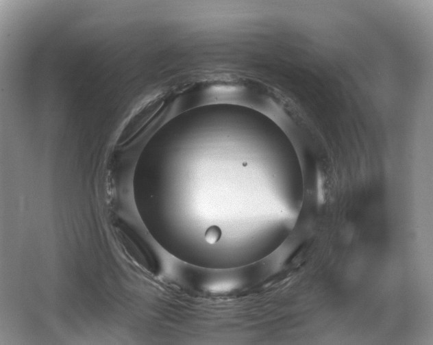 X0000067890731200604171336