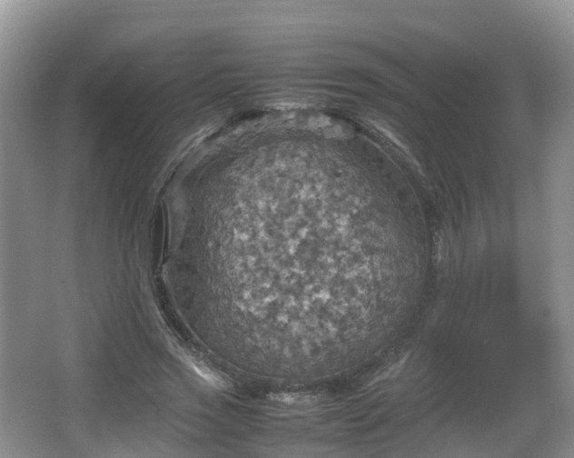 X0000067890733200604171336