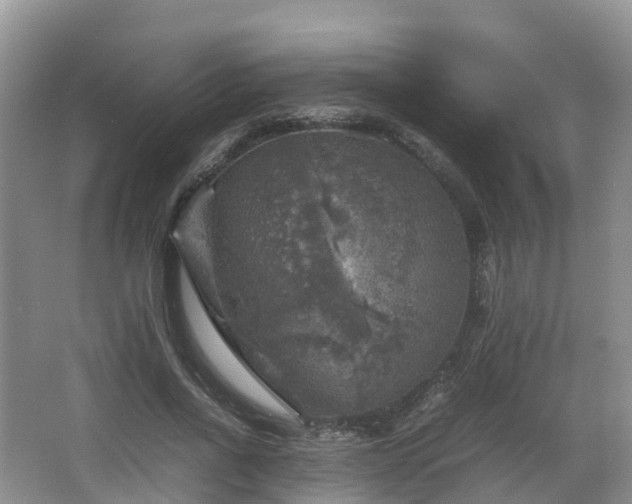 X0000067890734200604171336