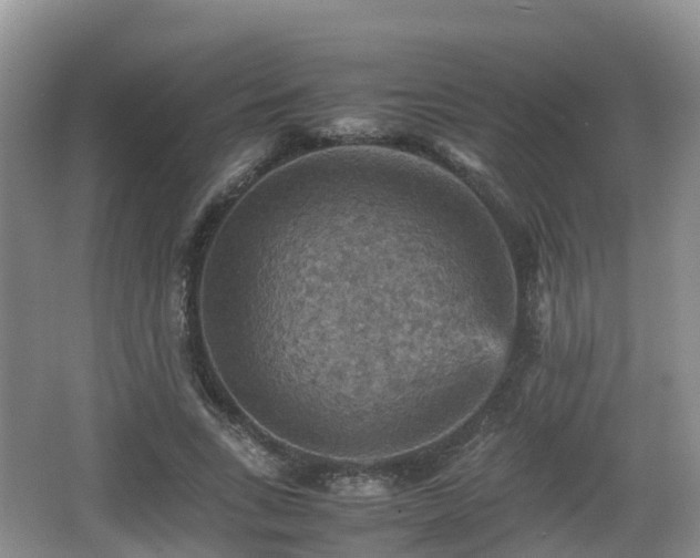 X0000067890735200604171336