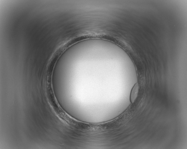 X0000067890736200604171336