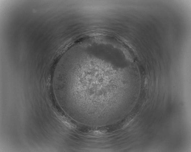 X0000067890737200604171336